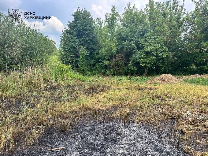 У Богодухівському районі на Харківщині загинула жінка, випалюючи сухостій